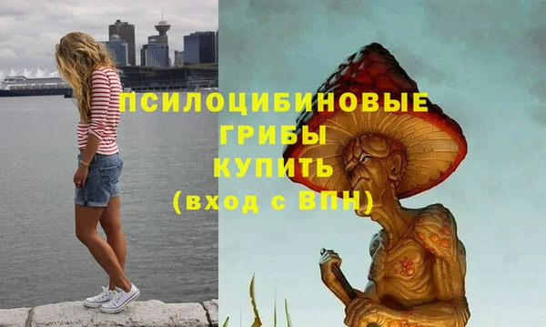 герыч Горнозаводск