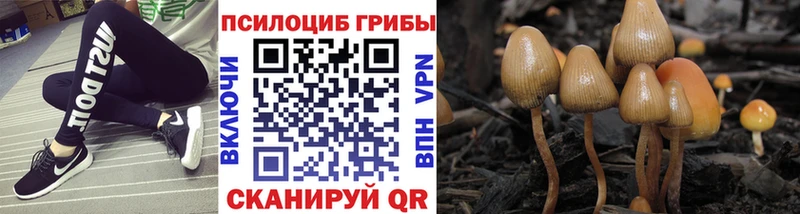 OMG рабочий сайт  наркота  Очёр  Псилоцибиновые грибы Magic Shrooms 